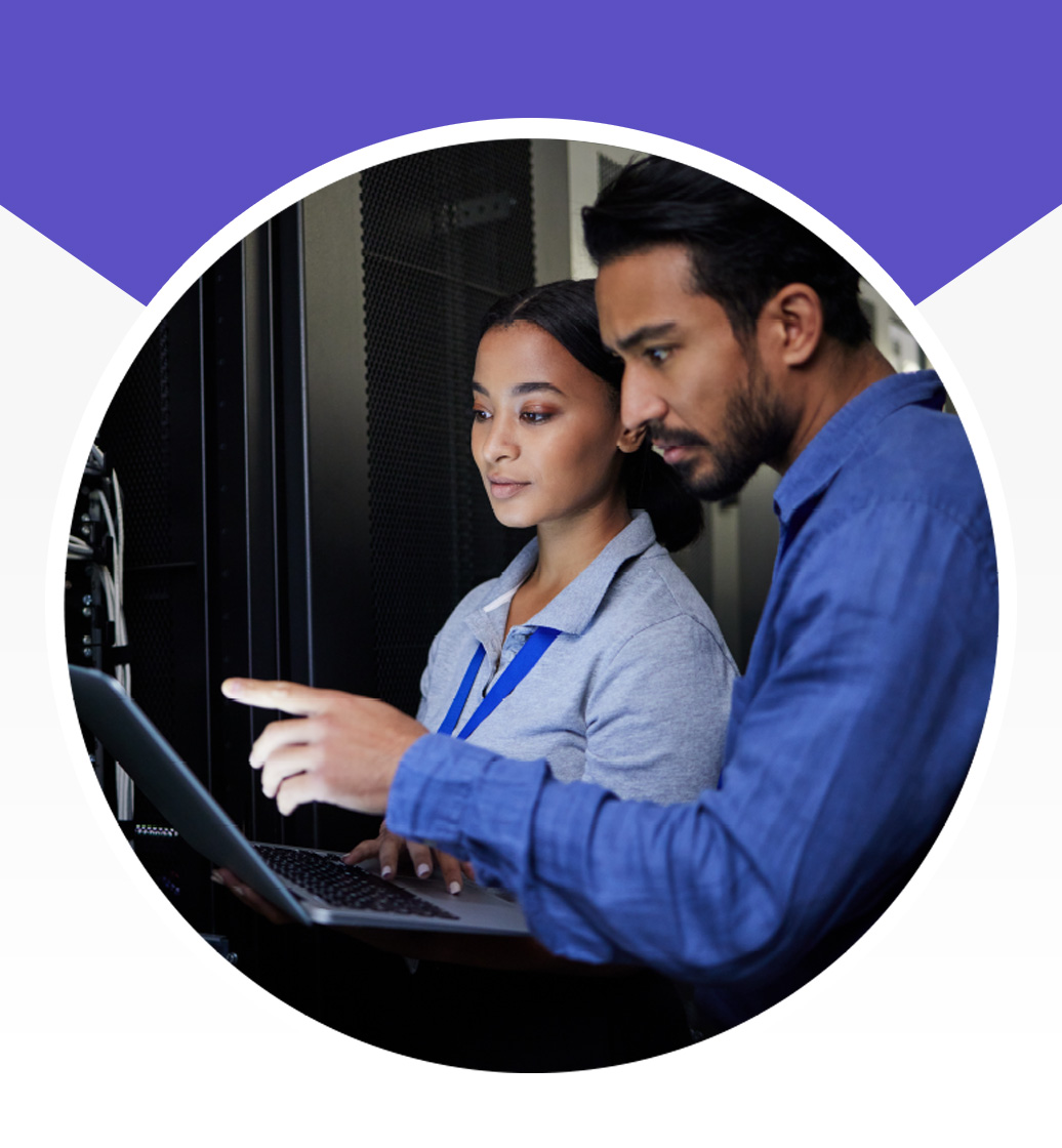 Architecture, Development, and Hosting circle image