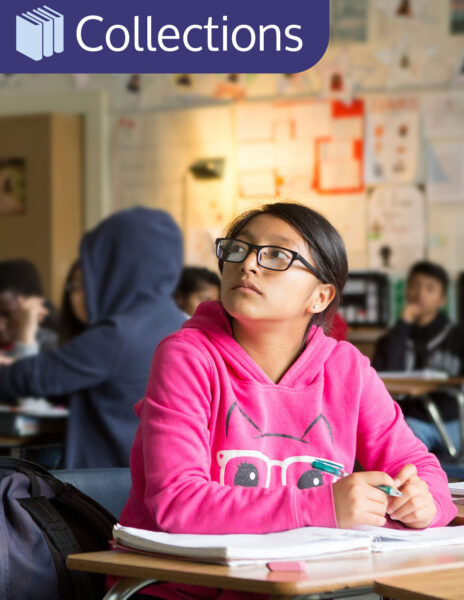 Strategic and economic analysis of English Learner programs in California collection image