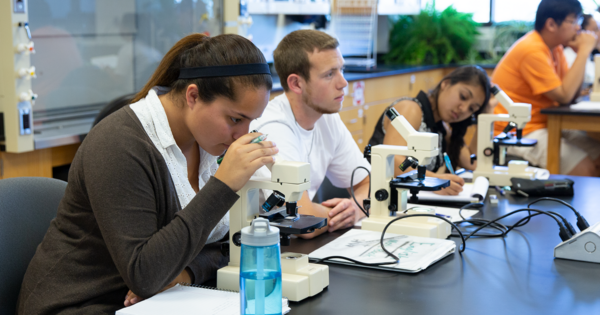 Photo of community college students